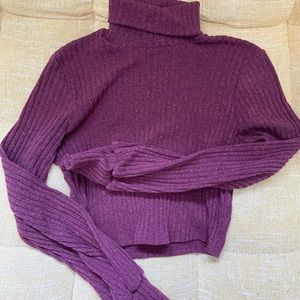 Cropped maroon turtleneck sweater